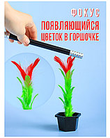 Появление цветка в горшке(большая)