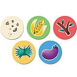 Настольная игра Зоопарк. Мир Хобби, фото 4