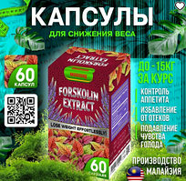 Экстракт форсколина / Капсулы для похудения / Снижение веса / Только оригиналы