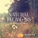 Нежный увлажняющий шампунь Selective Natural Flowers Hydro Shampoo 1000 мл., фото 3