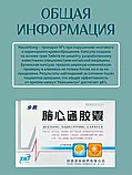 Бучанская капсула при инсульте и ишемии "Наосиньтун" (Buchang Naoxintong Capsule) 36 шт., фото 2