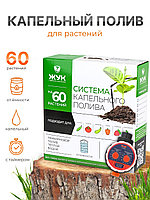 Капельный полив ЖУК 60 растений, от емкости, с таймером (автомат)