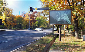 Ситиборд: Толе би- Масанчи, северо-восток