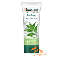 Скраб для лица с Нимом и Абрикосовыми косточками (Purifuing Neem Scrub HIMALAYA), 50 г