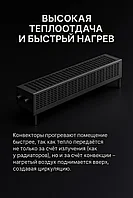 Конвекторы