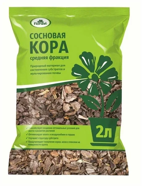 Жалаңаш Италия