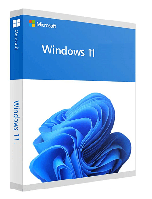 WIN HOME 11 64-bit All Lng PK Lic Online DwnLd KW9-00664