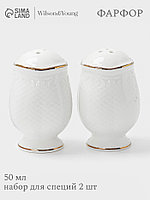 Набор для специй WY Empire, солонка и перечница, 50 мл, фарфор, белый