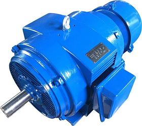 Электродвигатель 5АНК 200L6