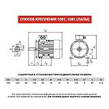 Электродвигатель АИС 80А2, фото 3