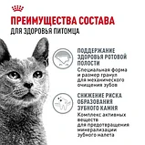 Royal Canin Dental Care, Роял Канин корм для гигиены полости рта у кошек, уп. 8 кг, фото 4