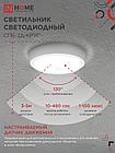 Светильник светодиодный СПБ-2Д-КРУГ 14Вт 230В 4000К 1100Лм 210мм с настраиваемым датчиком белый IN HOME, фото 7