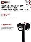 Светильник уличный напольный НБУ P600R-ЦИЛИНДР-2GX53-NL-BL с подсветкой 600мм черный IP54 IN HOME, фото 7