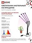 Светильник настольный на прищепке светодиодный СНП-Т2-ФИТО 4П40 40Вт 4 плафона, пульт на шнуре ЧЕРНЫЙ IN HOME, фото 5