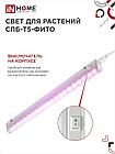 Светильник светодиодный СПБ-Т5-ФИТО сине-красный спектр 15Вт 870мм IN HOME, фото 6