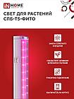 Светильник светодиодный СПБ-Т5-ФИТО сине-красный спектр 20Вт 1170мм IN HOME, фото 4