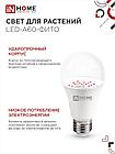 Лампа светодиодная LED-A60-ФИТО красно-синий спектр 15Вт 230В Е27 IN HOME, фото 2