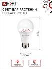 Лампа светодиодная LED-A60-ФИТО красно-синий спектр 15Вт 230В Е27 IN HOME, фото 3