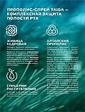 Прополис TAIGA с живицей кедровой 50 мл Алтайский Нектар, фото 4