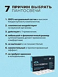 "ПАНТОСВЕЧИ" (суппозитории для мужчин), 15 штук., фото 9
