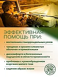 Фитосвечи "Шырғанақ майы + зире" (геморрой кезінде) Алтай шірнесі, көпіршік 1,3 г №10 дана., фото 4