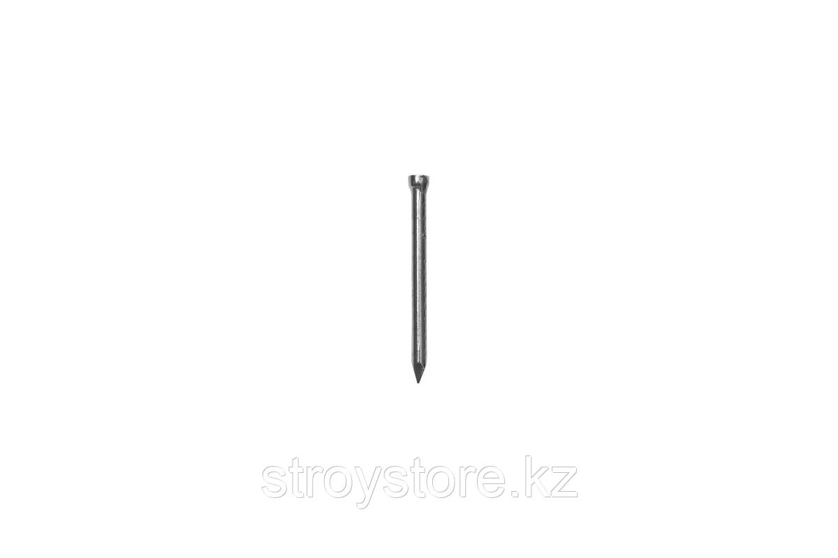 Гвозди финишные, цинк, 100 гр, ЗУБР 20 х 1.6 мм