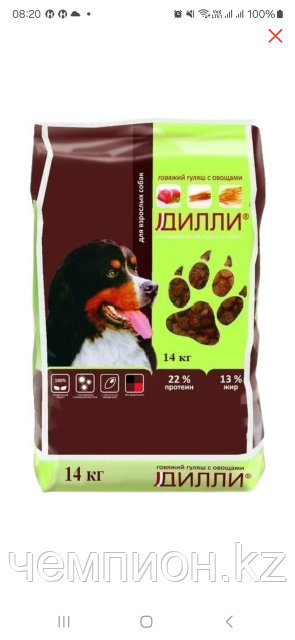 Mashhurlarning soxta porno suratlari Uysizlar bilan onlayn porno