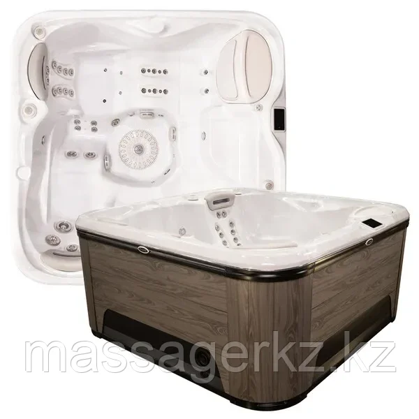 Спа бассейн Hydropool Signature 455 Platinum, фото 1