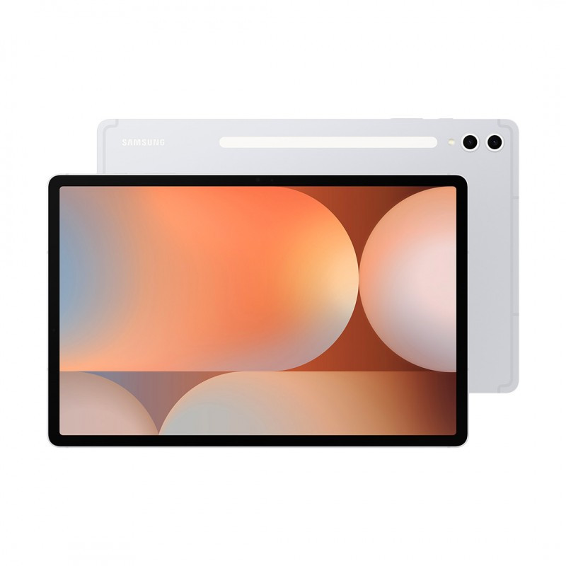 Samsung Galaxy Tab S10 PLUS X820 2024 12.4" 12/256GB wi-fi Silver