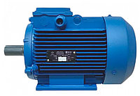 Электродвигатель АИР 71А6 0,37кВт*1000об/мин 2081 комб