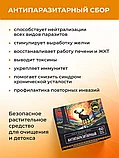 Травяной сбор "Антипаразитарный", фото 3