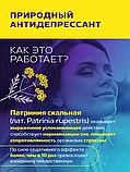 "БЕЗРАЗЛИЧКА ПЛЮС" с витамином B6 (при стрессах, раздражительности, депрессии)., фото 4