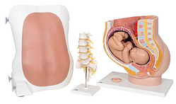 Лабораторный набор «Анестезиология»