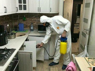 применение инсектицида
