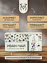 Иван-чай с шиповником и липой (фильтр пакет для заваривания чая, 15 шт), фото 5