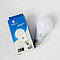 LED лампа А60 20W E27 2700K PROSVET, фото 5