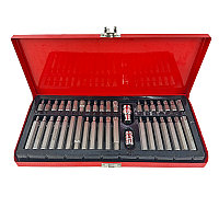 A1 Tools Набор бит с битодержателями 40пр. (10мм)(75/30мм:T20-T55,H4-H12,M5-M12),в метал. кейсе A1-FB101 FB101