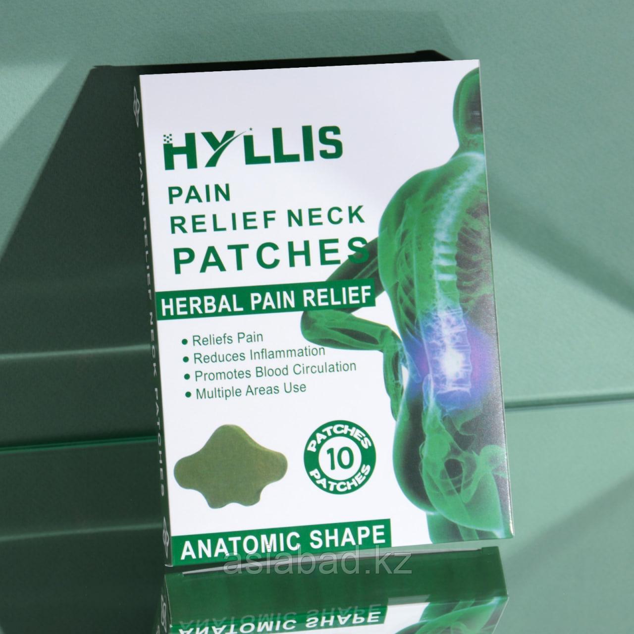 Hyllis Обезболивающие Патчи для спины, 10 шт, фото 1