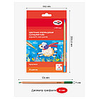 Карандаши цветные Гамма "Мультики", 18цв., супермягкие, увелич. диаметр грифеля 4,0мм, заточен., кар, фото 4