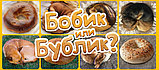 Бобик или бублик. Настольная игра. Мир Хобби, фото 3