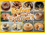 Бобик или бублик. Настольная игра. Мир Хобби, фото 8