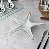 Блюдо Звезда 24 см,керамика Frutti di Mare P.L., фото 2