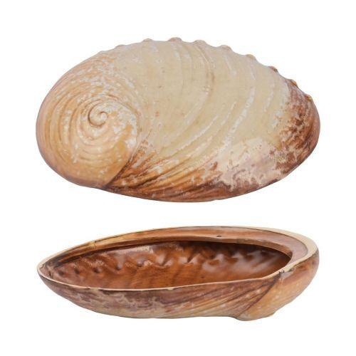 Тарелка 19*14,5 см, 365 мл, керамика Frutti di Mare P.L.