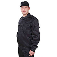 Үлкен жамбастары бар порно актрисалар