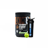 Предтренировочный комплекс Universal Nutrition Animal Fury 30 порций 495 гр, фото 3