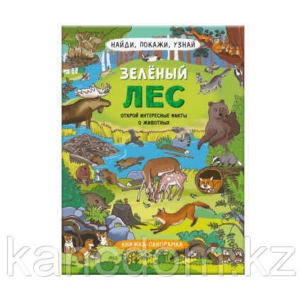 Книжка-картинка для детей. Серия "Найди, покажи, узнай" ЗЕЛЁНЫЙ ЛЕС, арт. 59045
