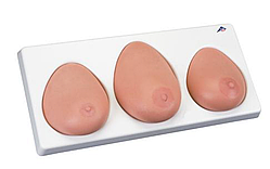 Модель для обучения самообследованию молочной железы, 3 отдельных молочных железы на основании