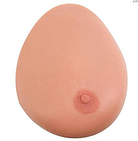 Модель молочной железы