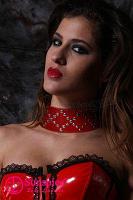 Ошейник красный