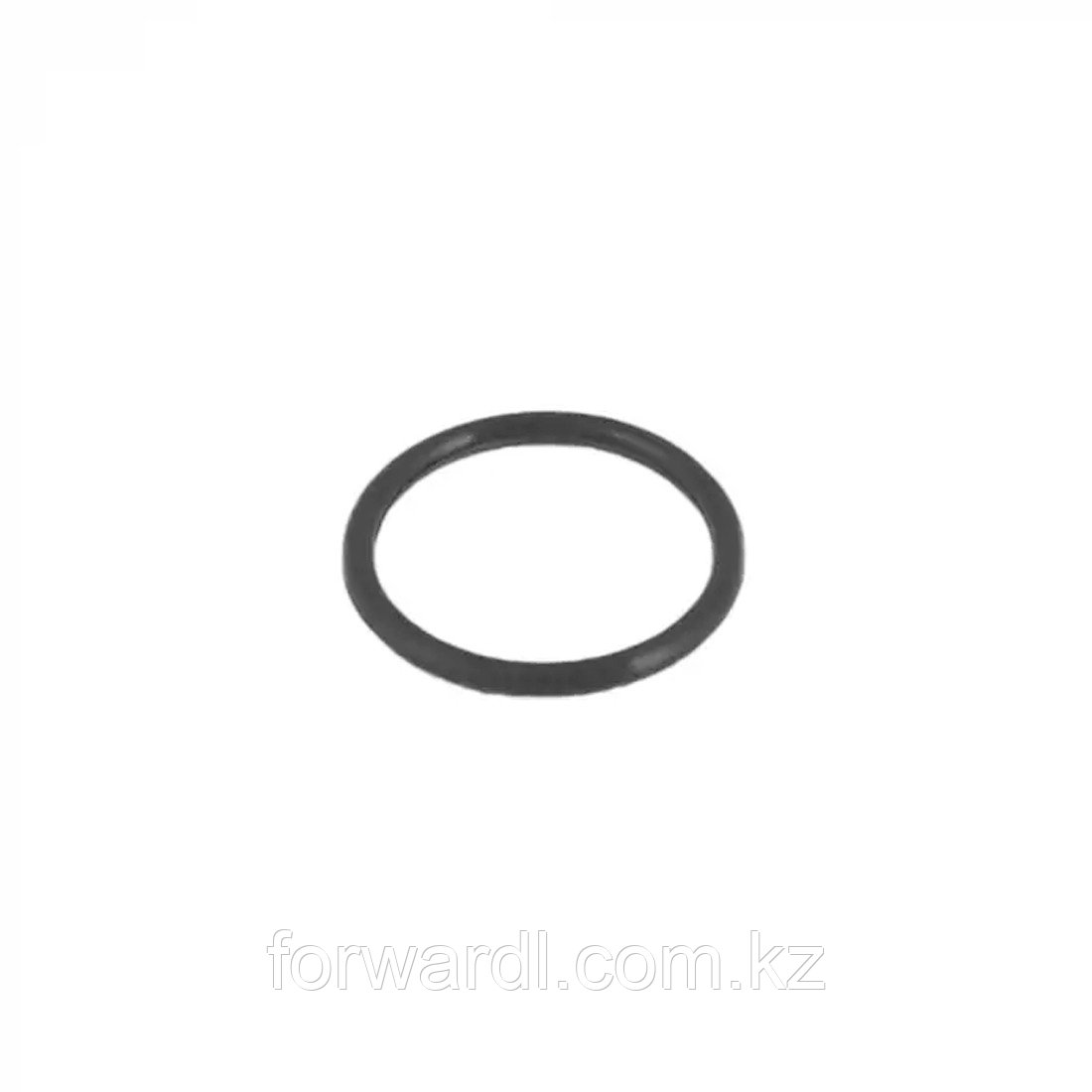 Уплотнительное кольцо для фильтр-насоса Bestway P6005ASS16
